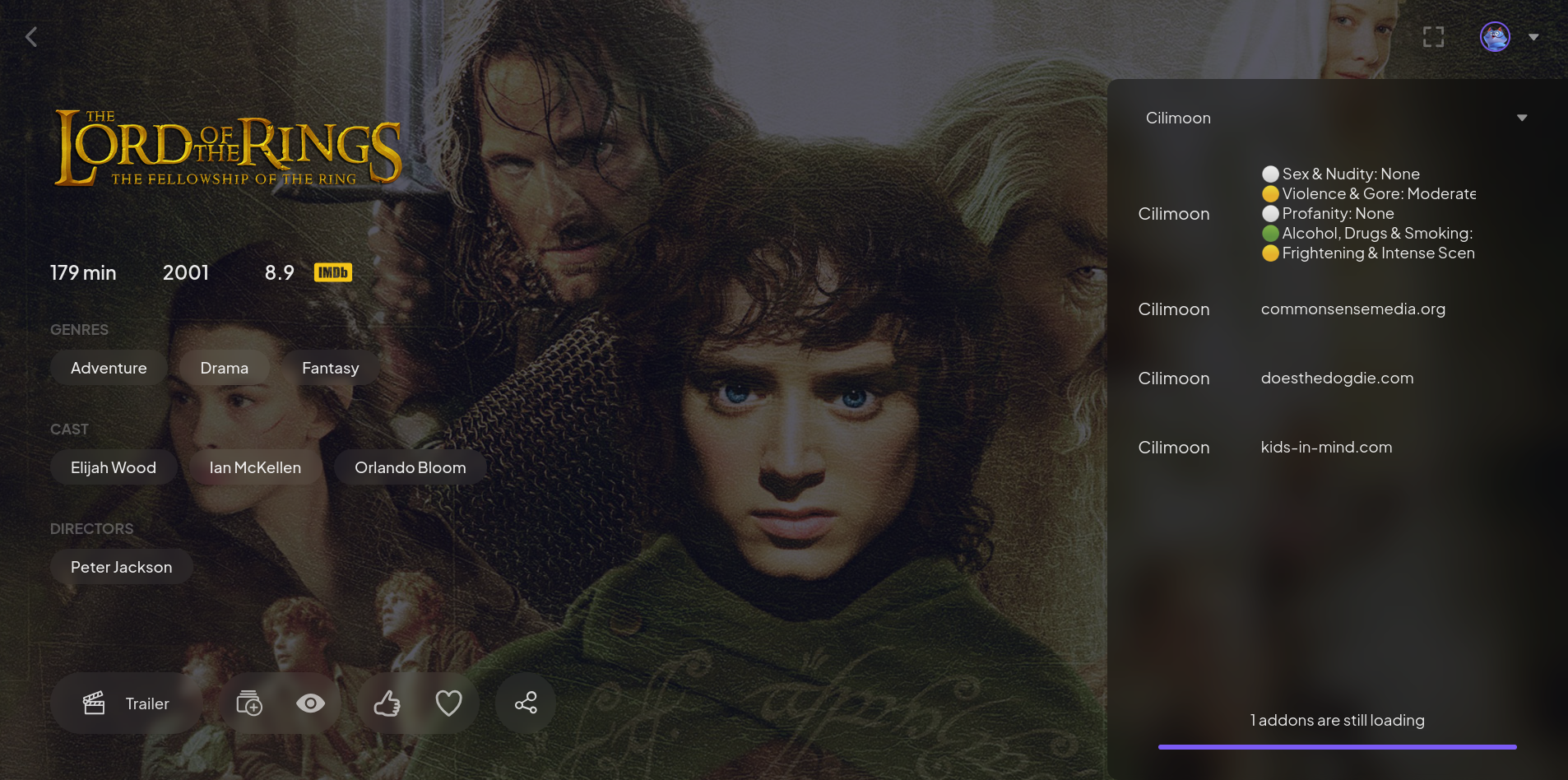 Stremio Interface